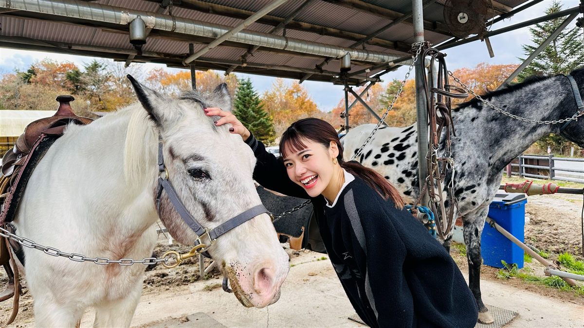 白い馬を撫でて笑顔の女性